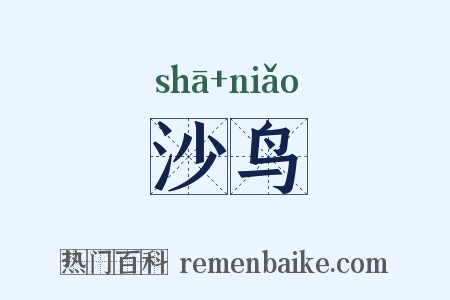 沙鸟是什么意思的图片